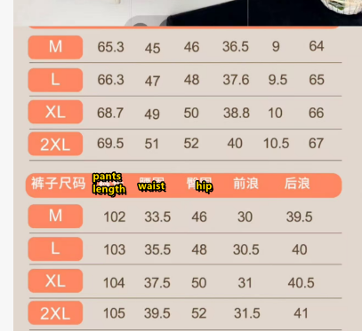 סט ספורט בצבע אחיד עם רוכסן T588-829 לנשים
